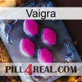 Vaigra 02
